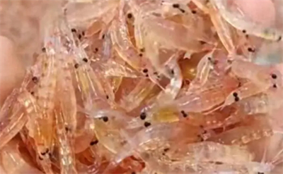 ͬ�������r�͙z��0�������������Ʊ����N�ơ����